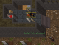 Thumbnail for version as of 00:15, 9 June 2026