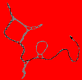 Thumbnail for version as of 20:41, 10 August 2026